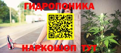 тгк Партизанск