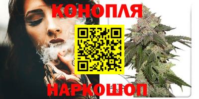 гашик Обь