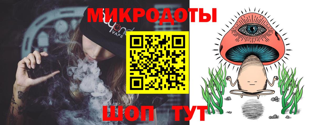 Псилоцибиновые грибы мицелий Новоалтайск